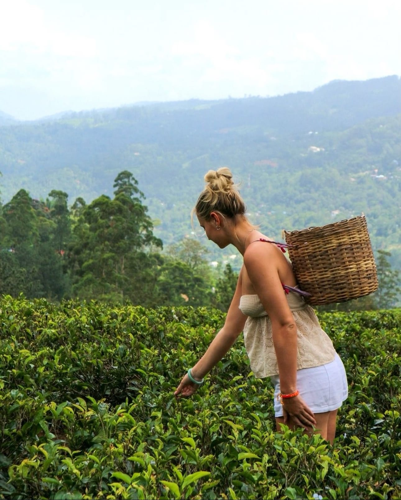 Sri Lanka in 7 Days: A Maximum Adventure Itinerary for Tight Schedules