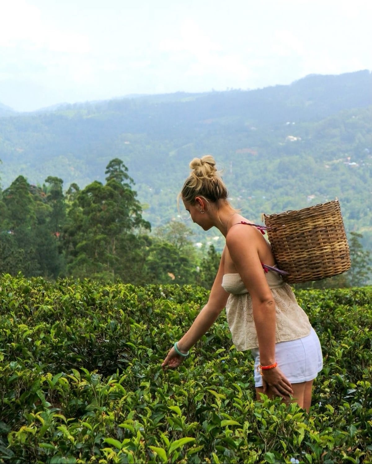 Sri Lanka in 7 Days: A Maximum Adventure Itinerary for Tight Schedules